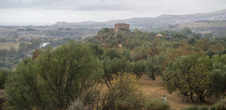 Il Tempio della Concordia nella Valle dei Templi di Agrigento, tra i templi dorici meglio conservati al mondo